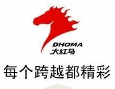 廣東大紅馬實業